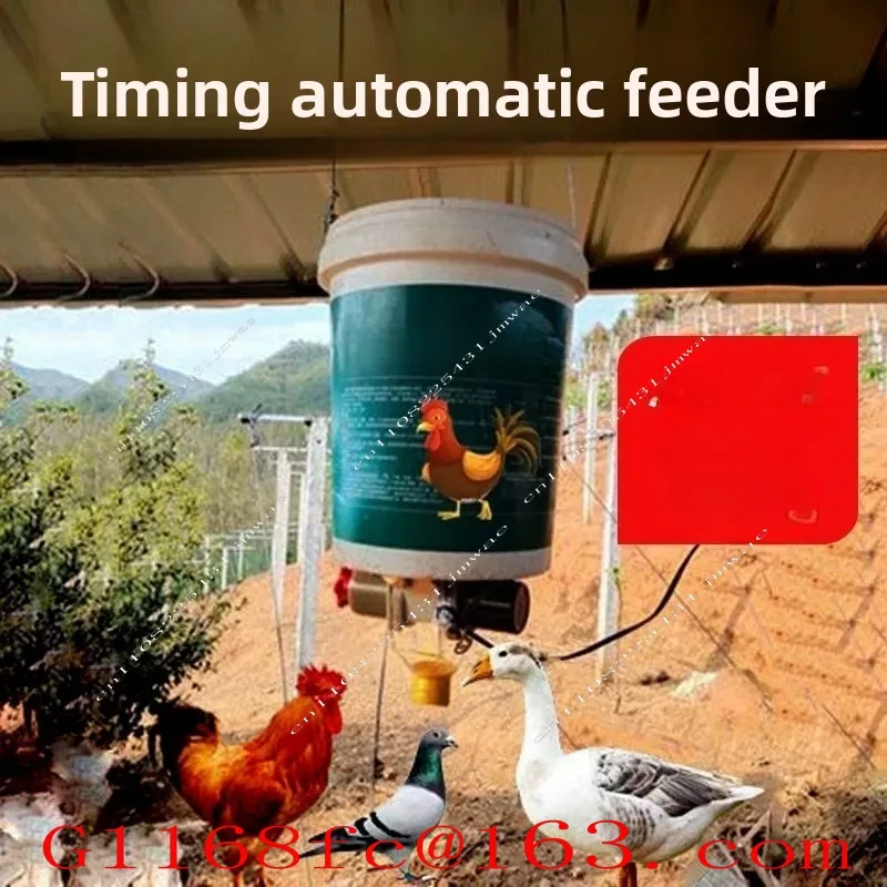 Single-machine with timed automatic chicken feed dispenser funnel-type pellet feed intelligent automatic poultry feeding device
