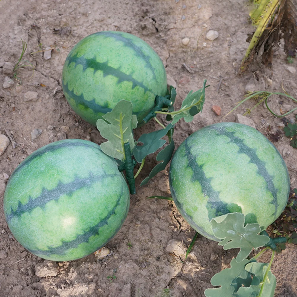 

Watermelon Photography Props Simulated Blueberry Display Foam Simulation Models