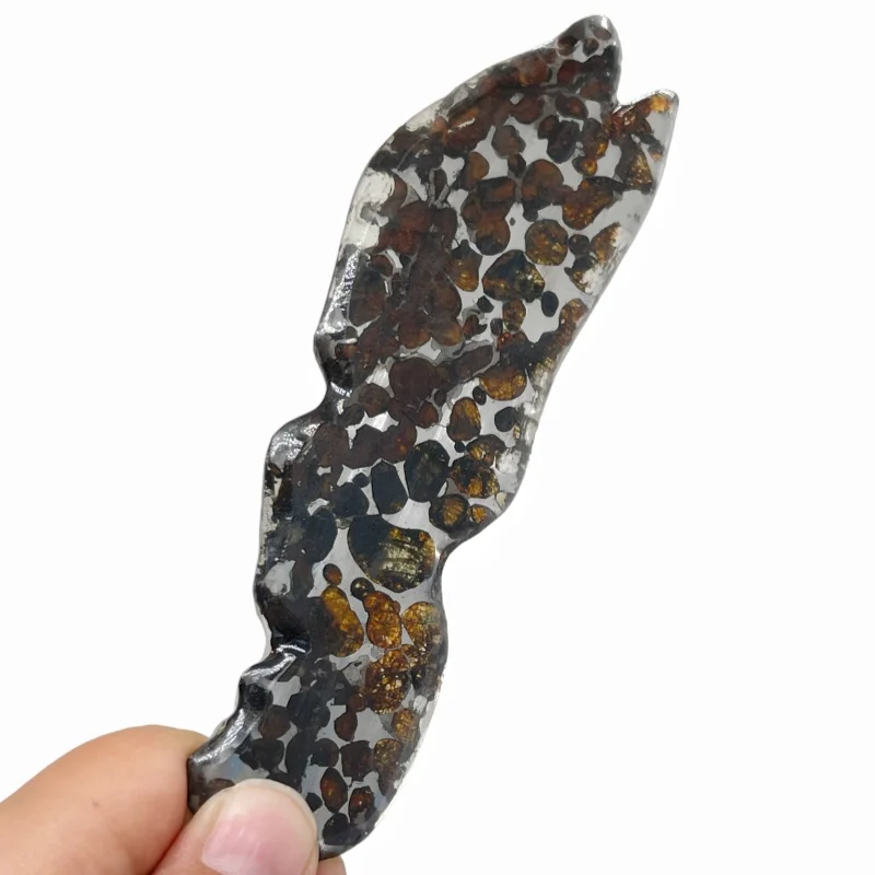 Sericho Pallasite Meteorite Free‑Form Polished Slice Olivine Crystal Natural Space Rock Mineral Collection CA108