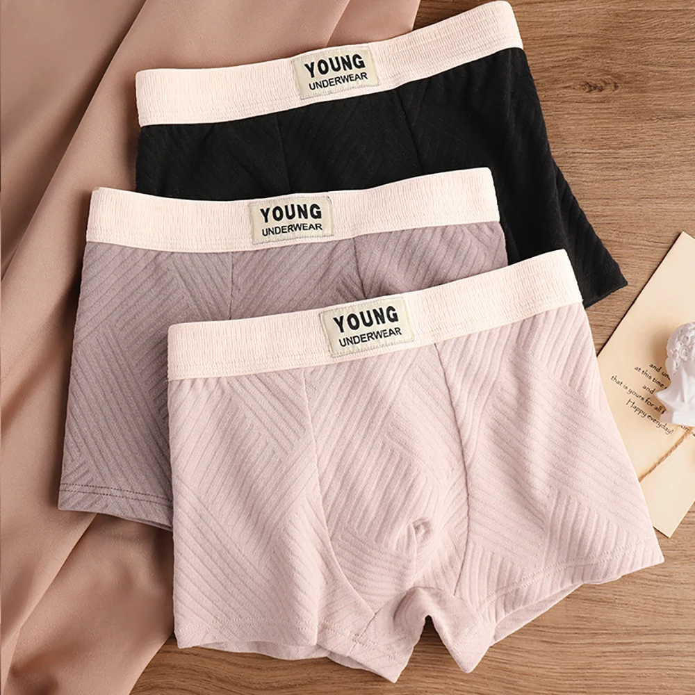 

3PCS/Pack L-4XL 100% Cotton Striped Underpants Men Breathable U-type Crotch 5A Antibacterial Panties Soft Men's Boxer Underwear