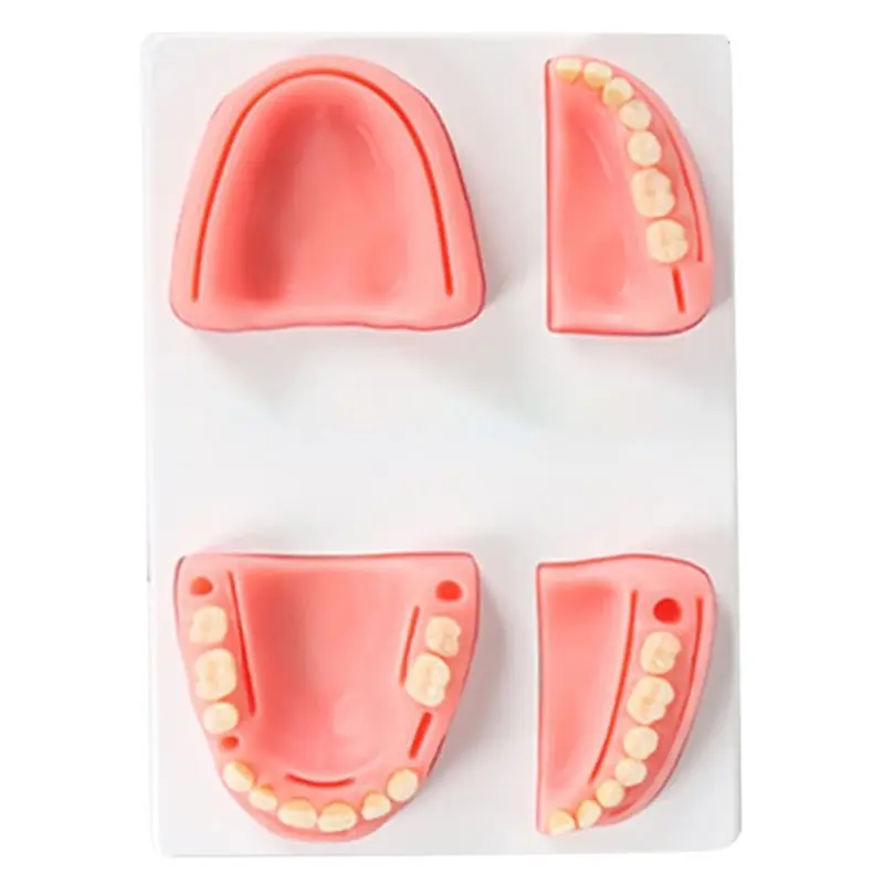 Teeth Model Suture Pad Practice Mold Soft Module Oral Training Demonstration Equipment Skill Teaching