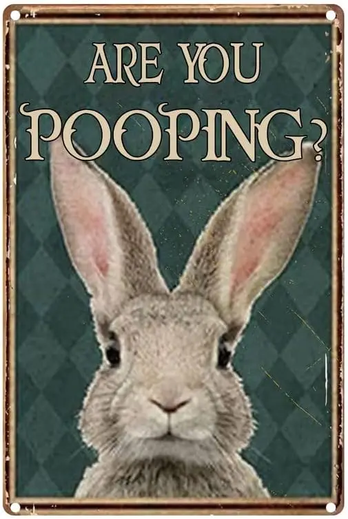 Rabbit Are You Pooping?Funny Tin Sign Vintage Fine Cave Art Decorations Metal Sign Wall Decor 12x17 Inches sign