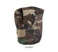 M81 Woodland