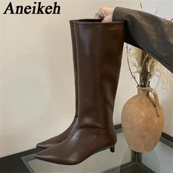 Aneikeh Brown Design Pointed Toe Women Knee-High Boots Designer Party Street Long Booties Thin Low Heels Shoes Zapatos Mujer