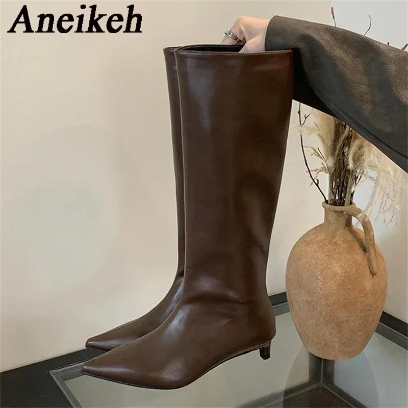 Aneikeh New Brown Kitten Heels Women Modern Boots Female Shoes 2025 Fashion Luxury Pointed Toe Ladies Long Knee Western Boots