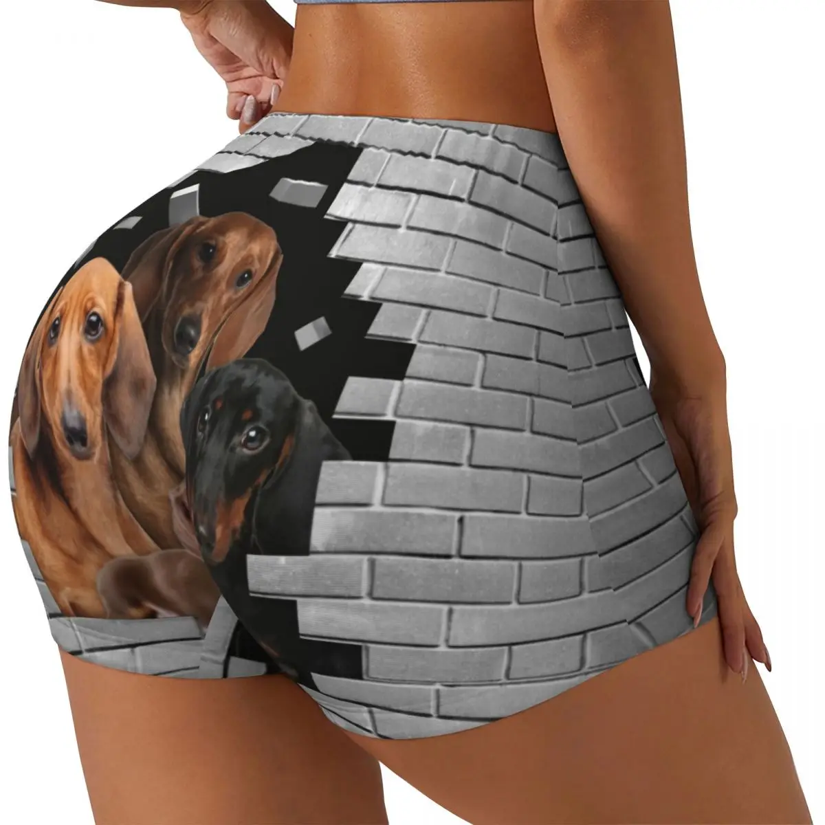 Custom Dachshund Dog In Cement Brick Workout Shorts for Women Badger Wiener Sausage Gym Volleyball Biker Yoga Shorts