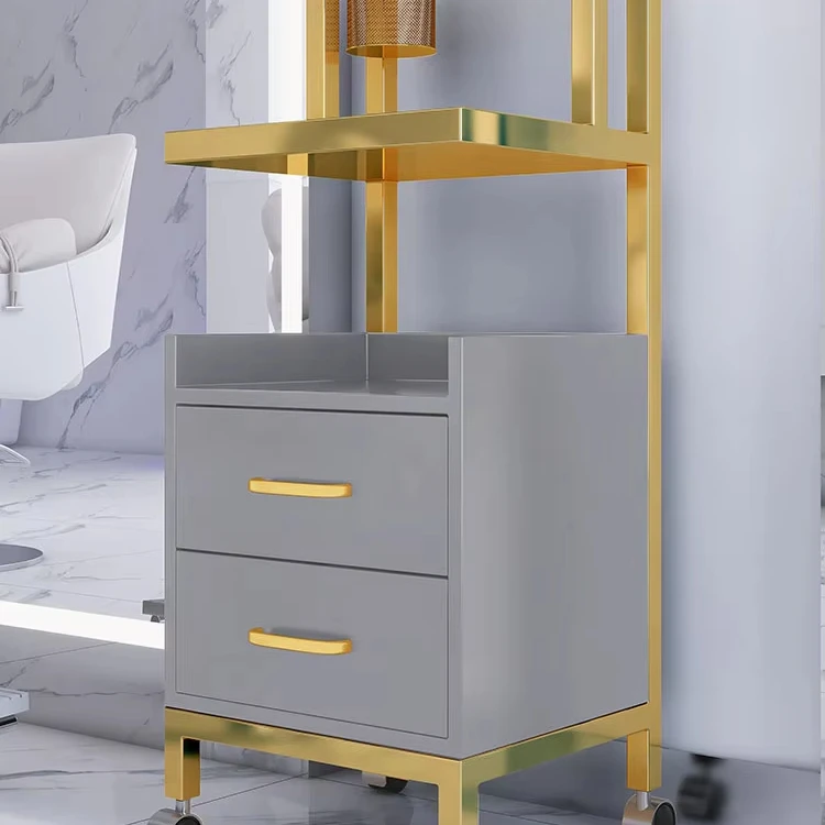 

Modern Salon Working Trolley Beauty Storage Cart Trolley For Heavy Duty Salon Equipment