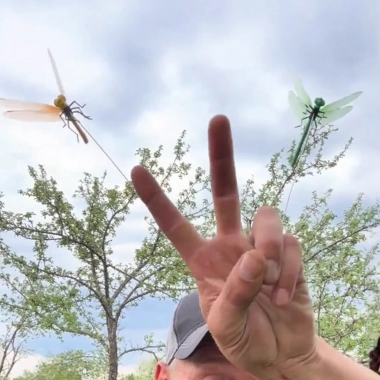 

Dragonfly Hat Clip 3pcs Set, Mosquito Repellent Clips, Bug Repellent Dragonfly Hat Clip,Portable Outdoor Garden Dragonfly Decor