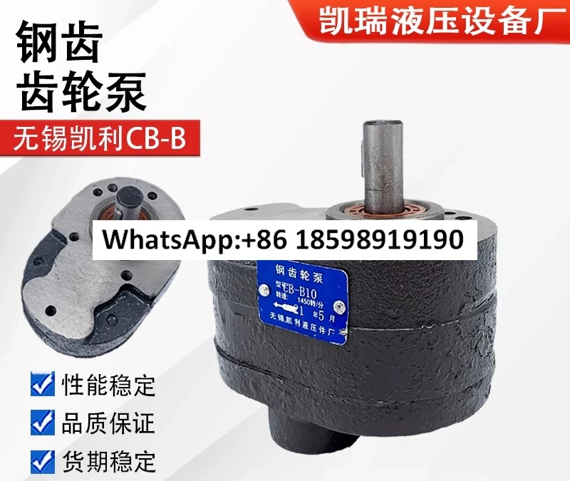 

Hydraulic CB-B10 Steel Gear Pump 6 4 2.5 16 20 25 32 40 50 63 80F