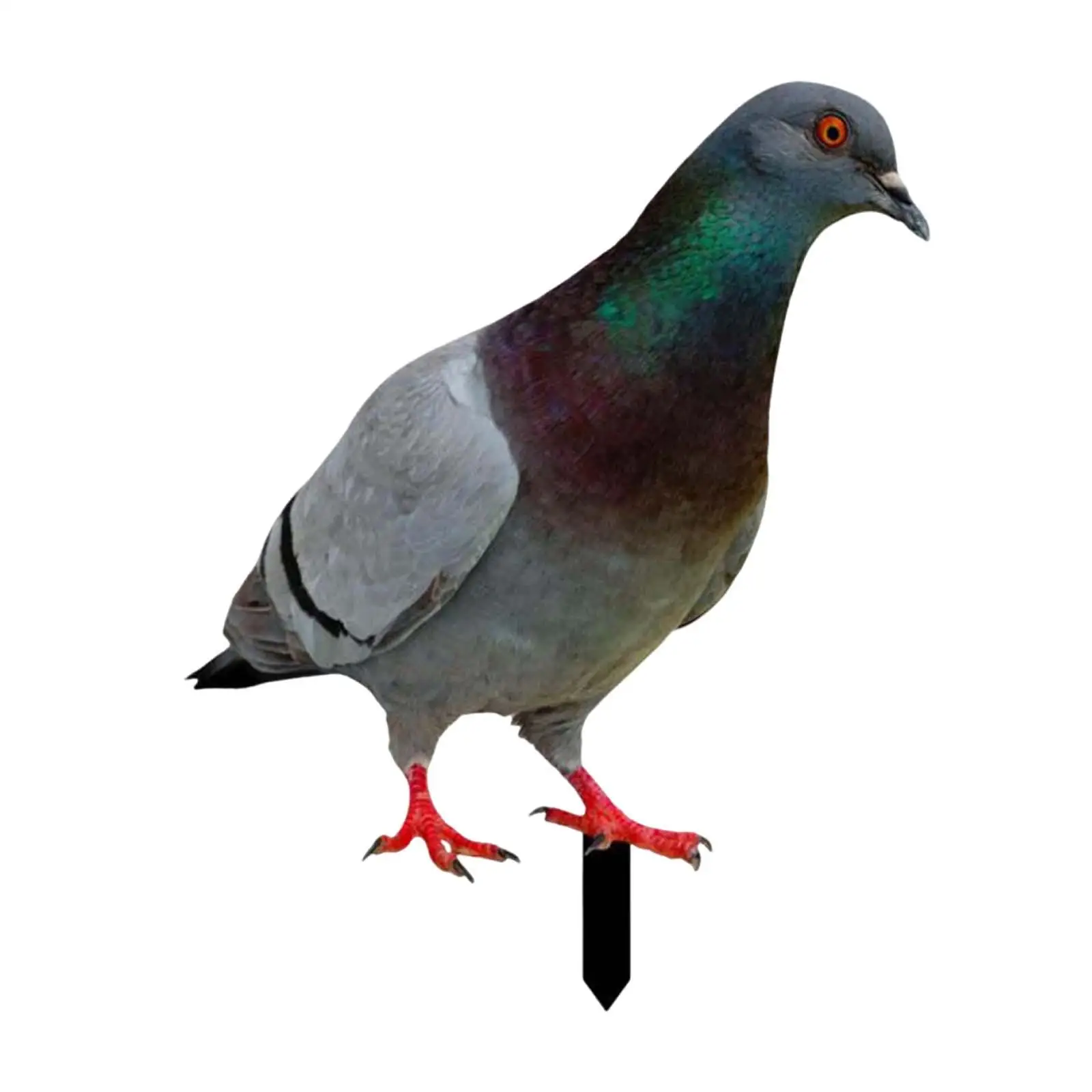 Metal Garden Decor Pigeon Garden Stake Decorative Bird Figure Garden Art Outdoor Yard Decoration for Pathway Courtyard Lawn