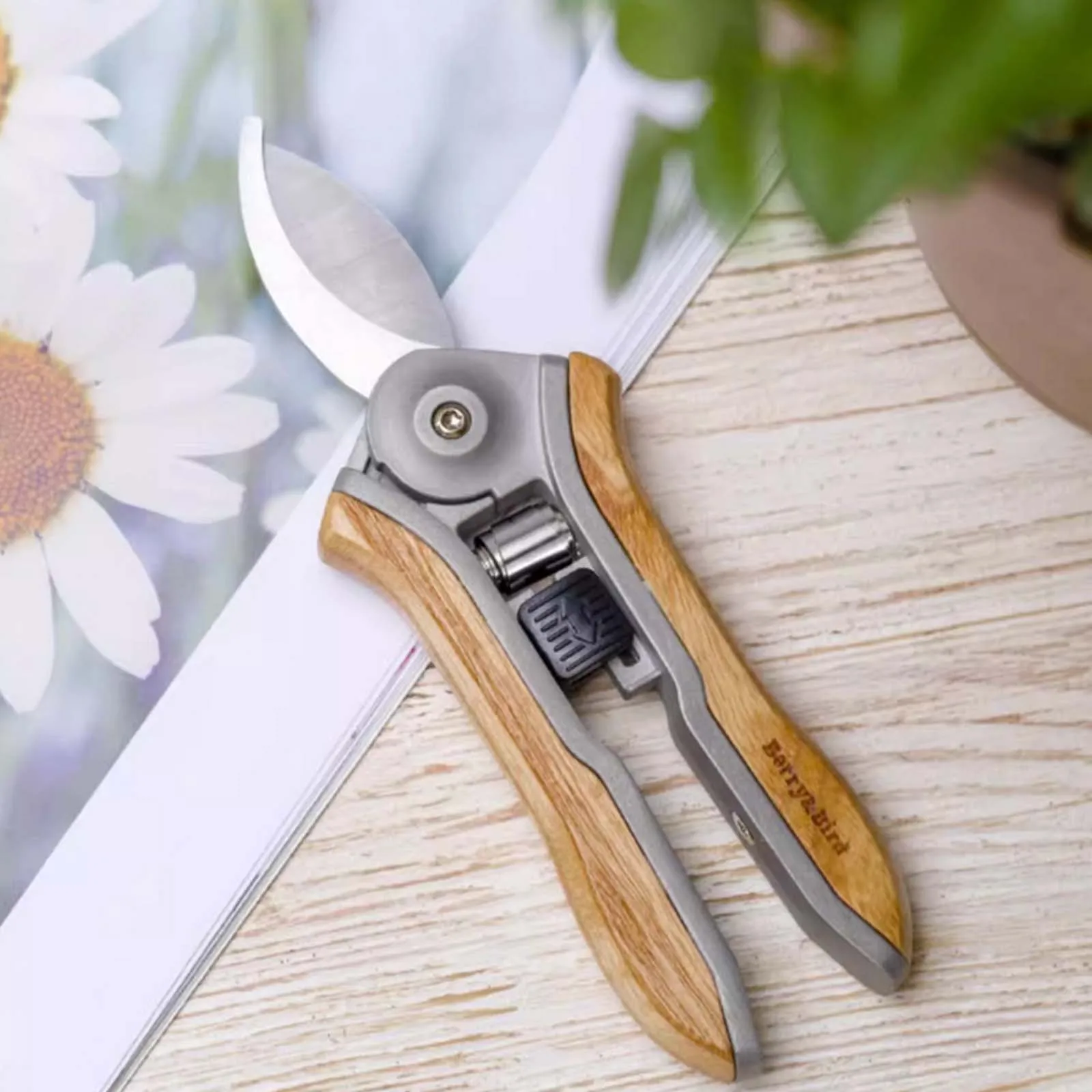 مقص قطع فرع زهرة الغابات والبستنة، مقصات تقليم منزلية بوعاء