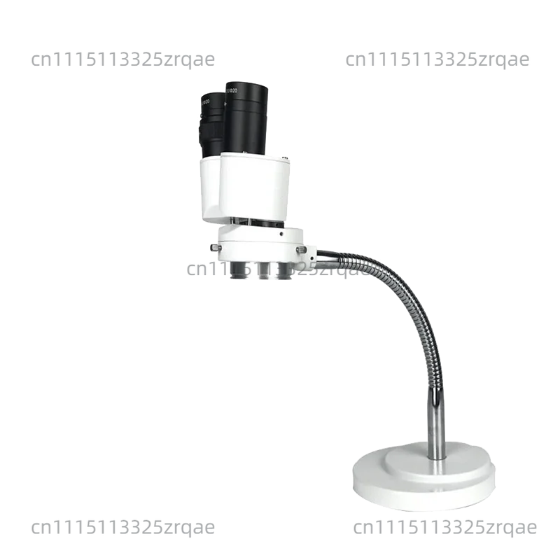 Dental microscope magnifying glass binocular surgery 8x binocular magnifying glass with LED light oral cavity view 3
