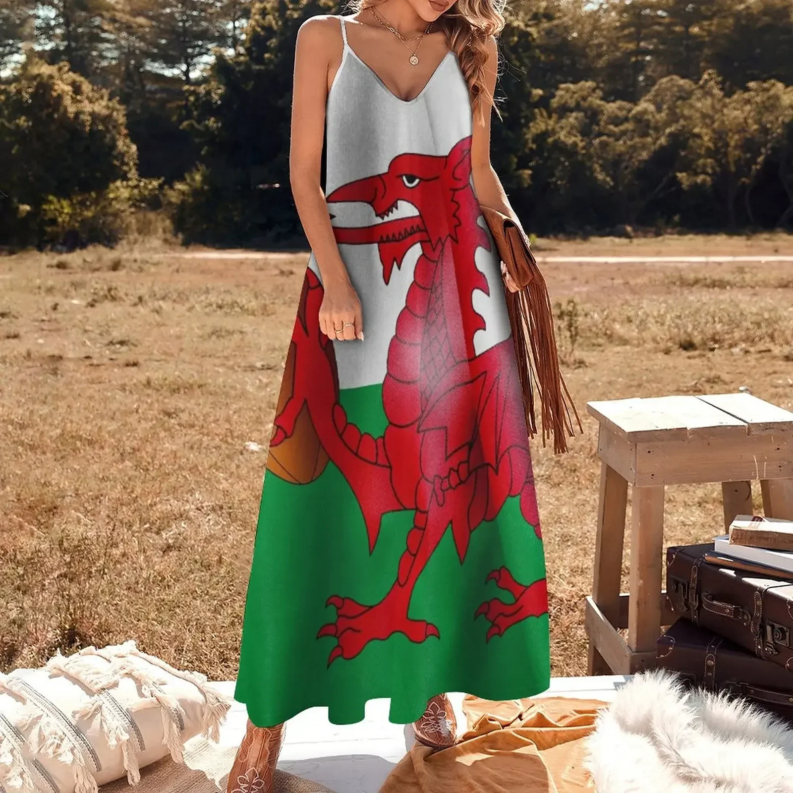 Welsh Dragon Rugby Ball Flag Sleeveless Dress summer clothes Dress