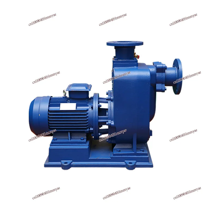 

Customized large flow direct connection ZW self-priming sewage pump sludge self-priming pump manufacturer BZ horizontal