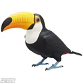 orange beak Toucans