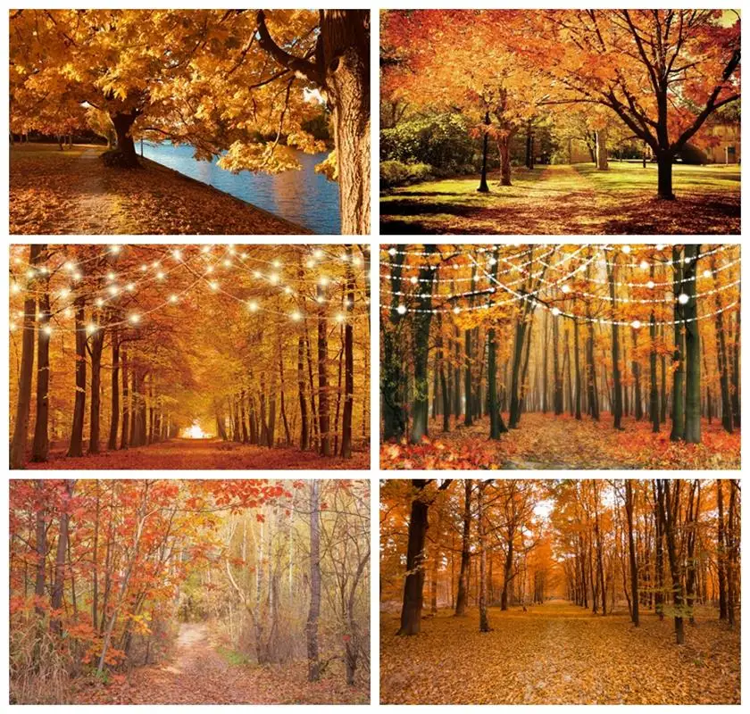 

Laeacco Fall Leave Forest Scenery Photo Backdrop Wedding Foliage Party Autumn Park Bridal Shower Portrait Photography Background