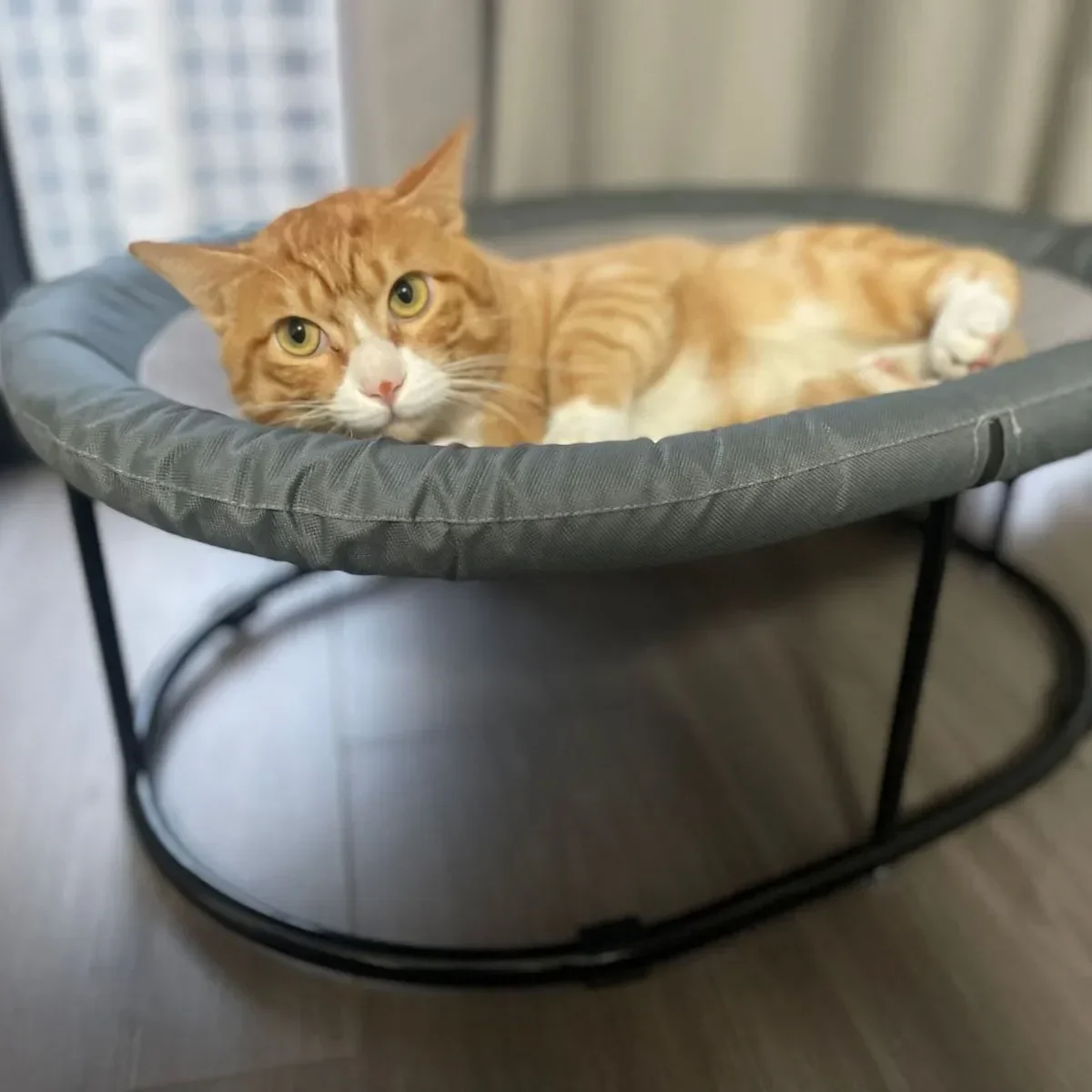 

JC Nest, кровать, кровать для кошки, теплый гамак для кошек, гамак для кошек, гнездо для домашних животных, товары для кошек, четыре сезона