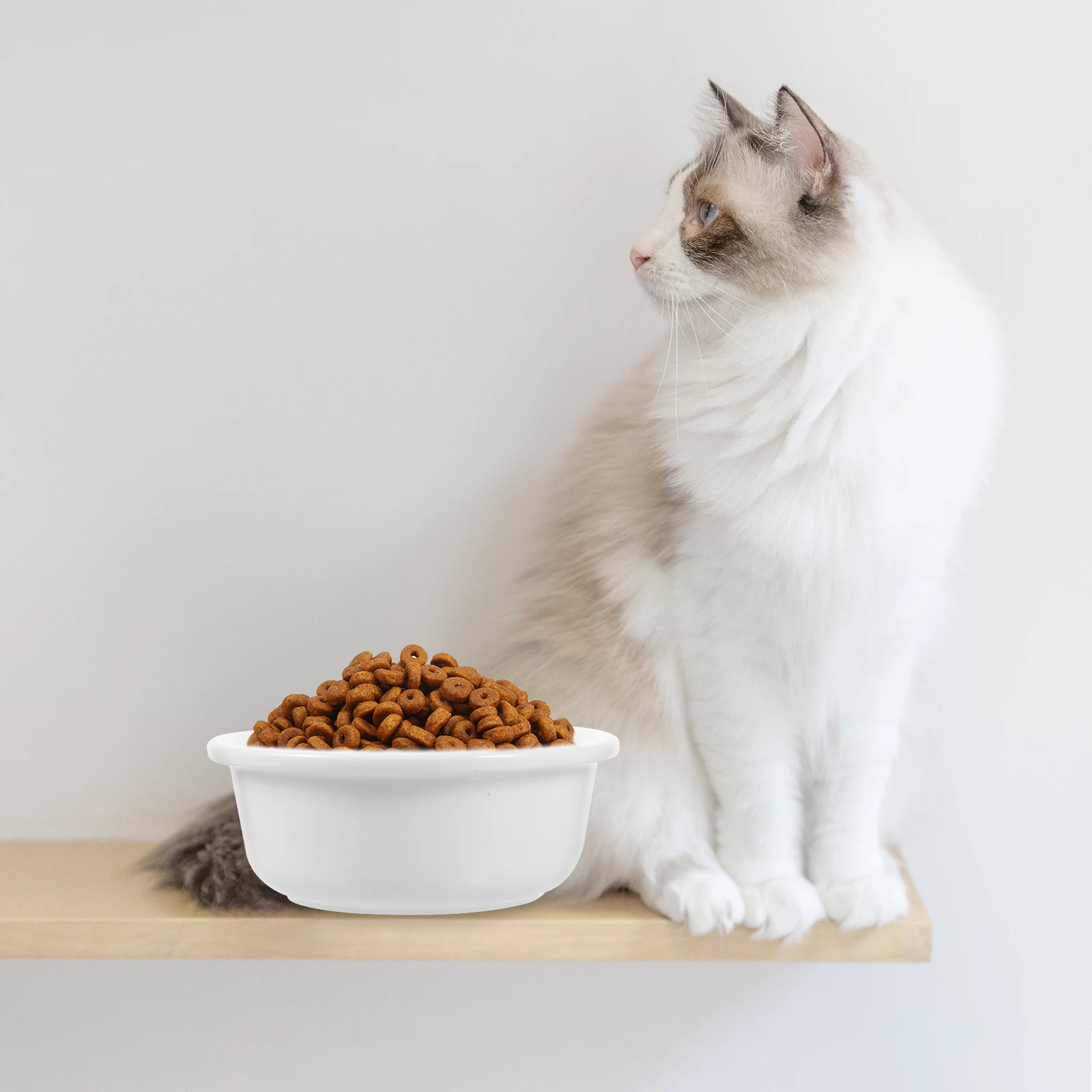 

Ceramic Pet Bowl Durable Reusable Feeding Cat Food Water Container Stable Dog Food Feeder Dog Bowl Pet Supply Puppy Feeder