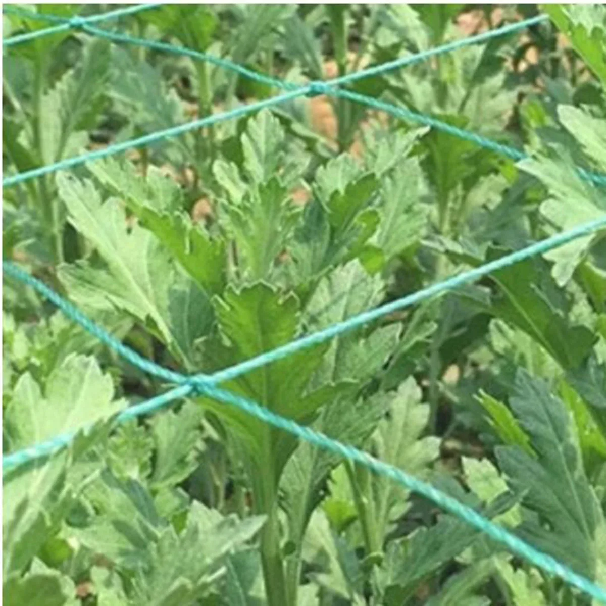 1 confezione rete da giardino per arrampicata, rete da rampicante per piante, griglia quadrata da giardino verde