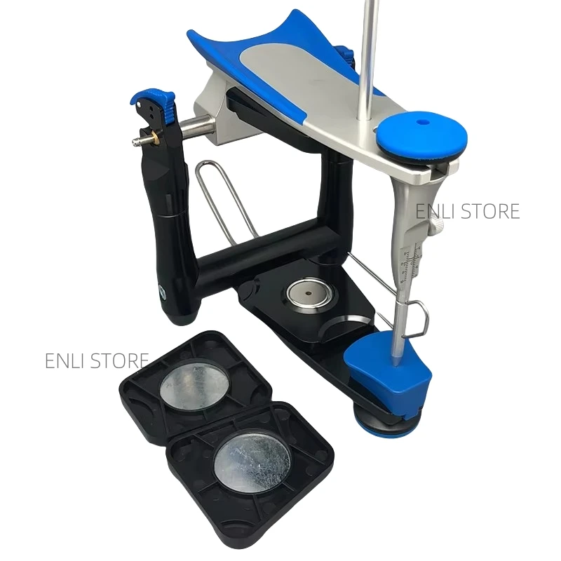 Dental Artex BN Model Functional Articulator Teeth Model Accurate Scale Mouth Adjustable Denture Articulator