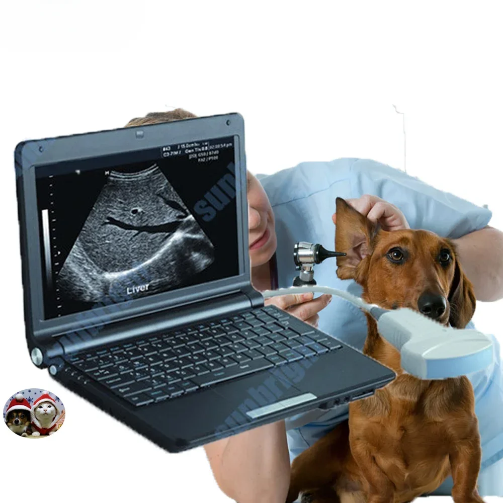 Digital Laptop Veterinary Mini Ultrasound  SUN-806F Price