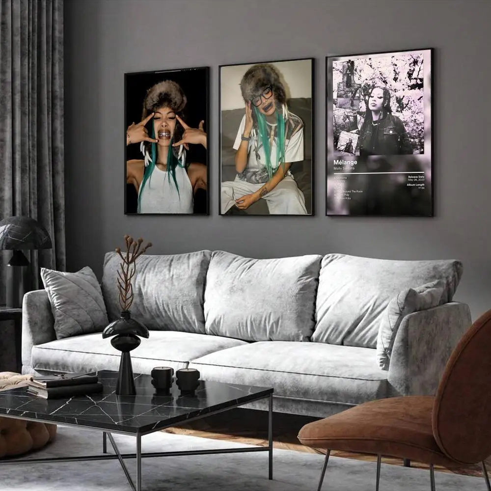 Molly S-Santana Rapper Poster Home Living Bed Room Bar Hallway Sticky Wall Printing Waterproof Aesthetic Decor