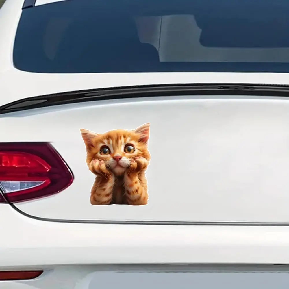 1 قطعة ملصق ممتص الصدمات للسيارة المضحك على شكل قطة التفكير ، ملصق فينيل 6 بوصة ، مقاوم للماء ، قطع قوالب للسيارات والنوافذ وأجهزة الكمبيوتر المحمولة #5