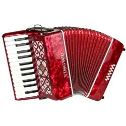 

25 Keys 12 Bass Surface Celluloid Diatonic Accordion