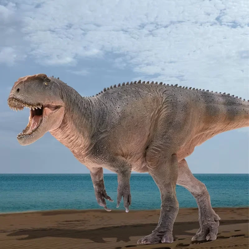 

Chinese Thief Dragon Xinchuan Dinosaur King Growth Companion Model 62 Dinosaur Family Series Toys Highly Restoring Holiday Gifts