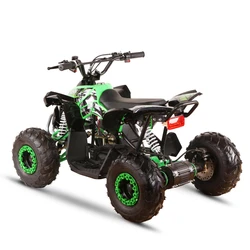 110cc Gas Powered Sporty ATV Quad Bike