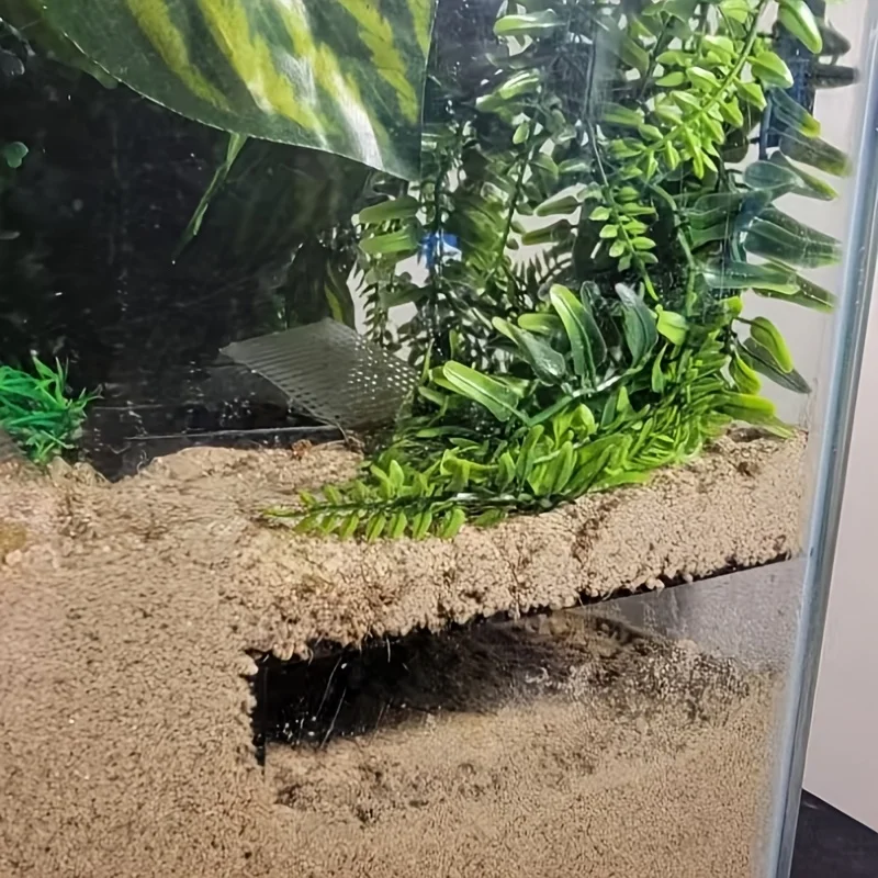 Decoration of hermit crab tunnel shelter | Crabs, frogs or lizards hide corner caves for easy access to slopes and viewing areas