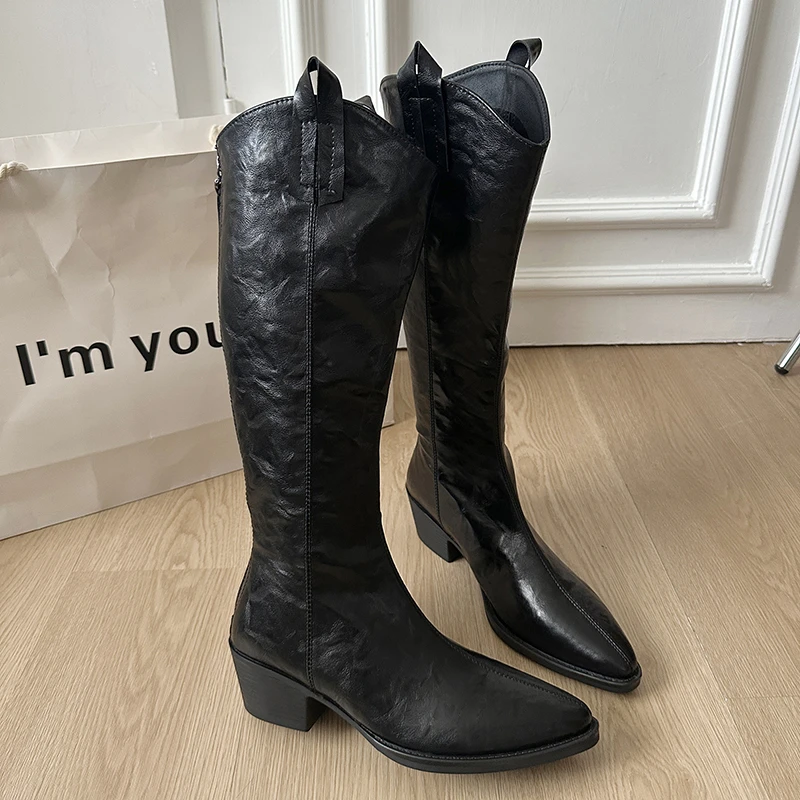 

Women Boots 2025 New High Heels Shoes Sexy Winter Knee High Knight's Boots Elegant Woman Chunky Pointed Toe Shoes Zipper Zapatos