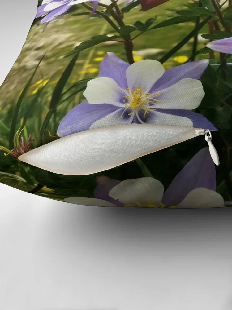 Colorado Columbine Flowers Throw Pillow Sofas Covers Cushions For Children Cushions For Decorative Sofa pillow