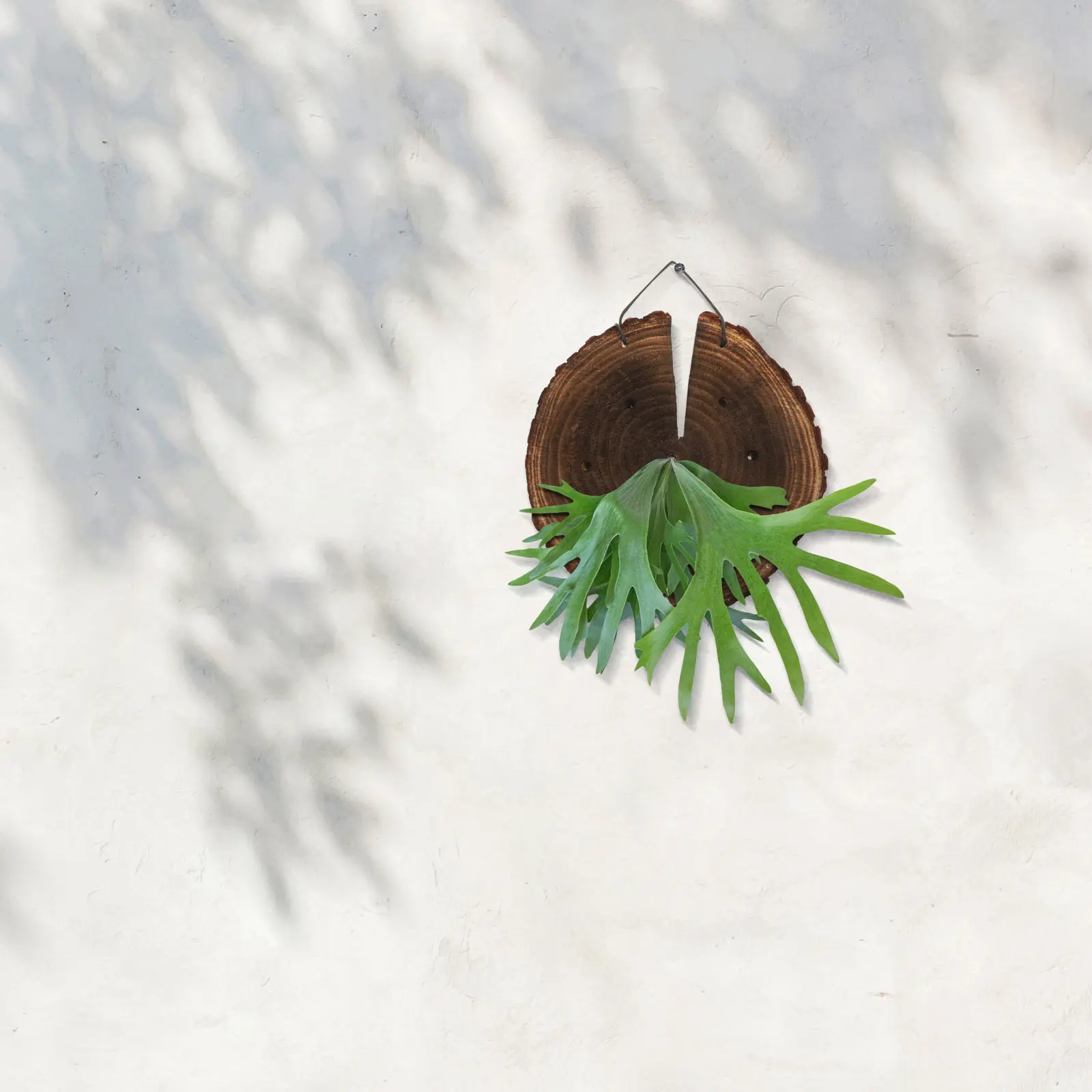 

Деревянное настенное кашпо в форме оленьих рогов, рустик-декор для дома, настенный декор для интерьера в стиле фермерского дома