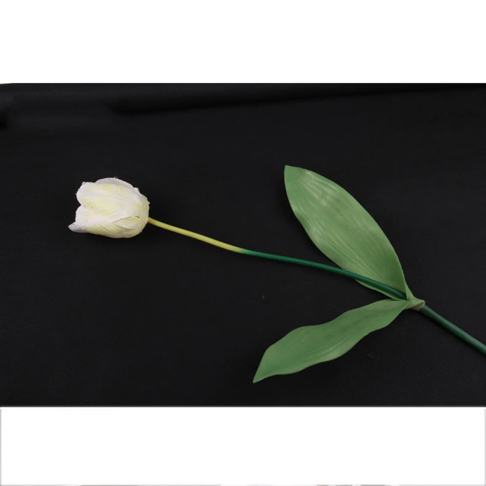 

1.6X2M Photography Backdrop Non-Woven Solid Color Background For Video Filming Picture Taking Studio Home Office Use Black