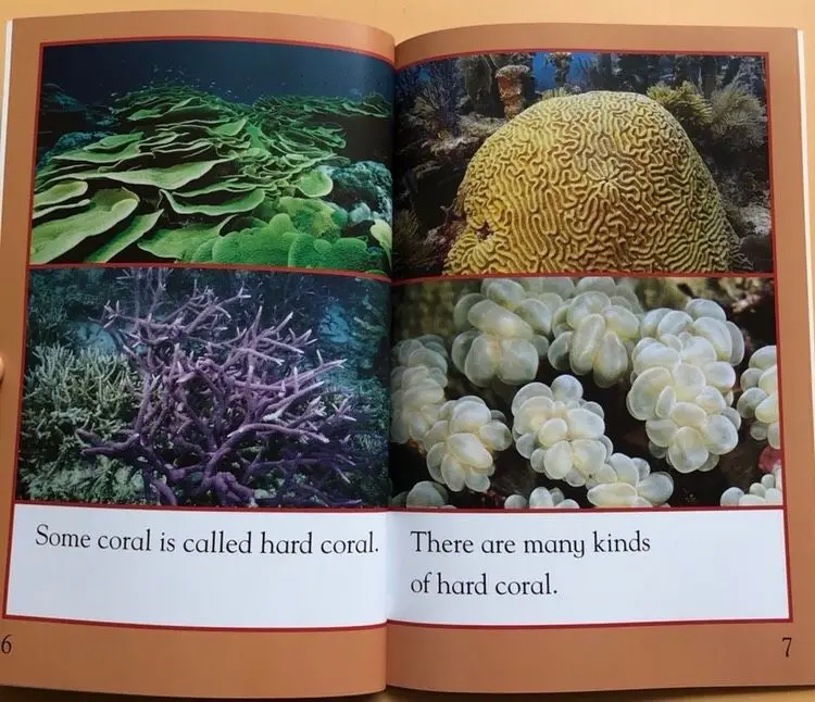 Kingfisher Readers L1 Classic Science Popular Reading Graded Set of 20 Volumes