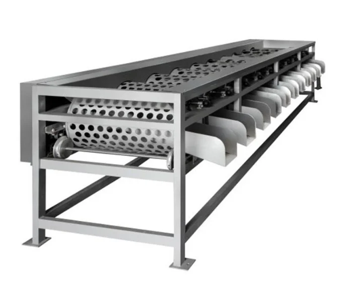 Rotary Drum Grader Potato Onion Apple Tomato Orange Sorting Machine For Vegetable And Fruit Processing Plant