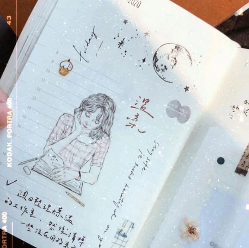 Taiwan Pion Original, Flower and Grass Set/sketch Girl, Transfer Sticker