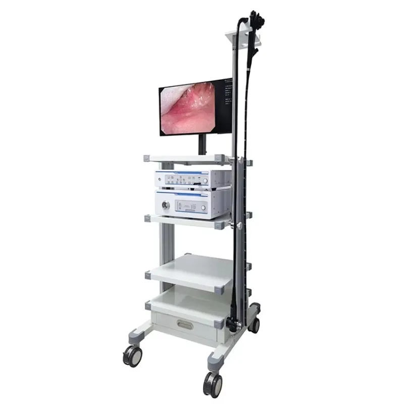 Endoscope Digital HD China Cheap Medical Flexible Human Gastroscope and Colonoscope