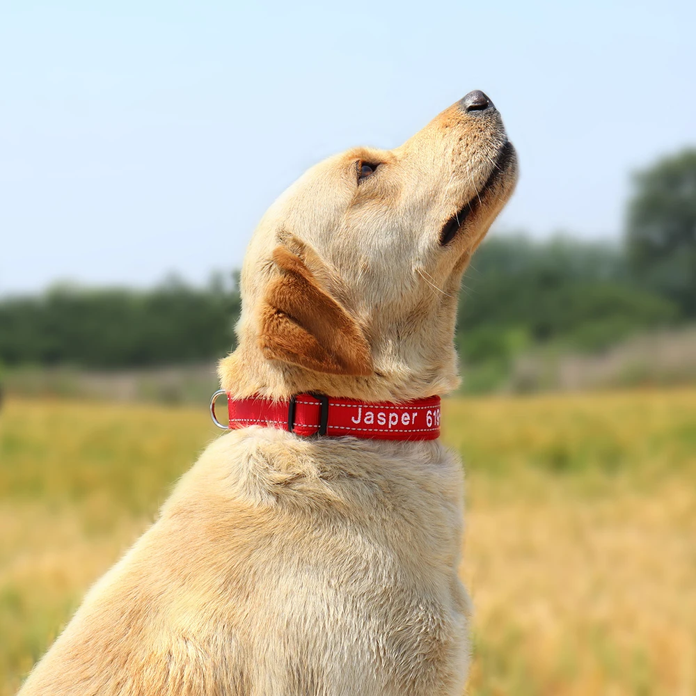 Personalized Embroidered Dog Collar Reflective Nylon Custom ID Name Accessories Pet Padded Collars For Small Medium Large Dogs