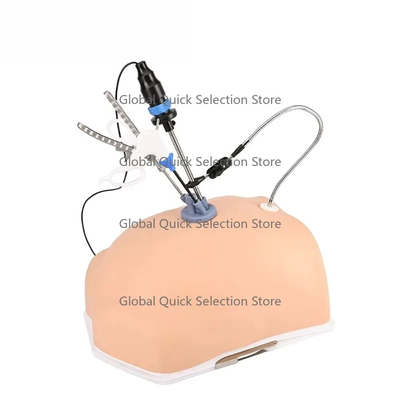 Medeasy Laparosc-opic Endo Trainer Abdominal Full S-kin Trainer Box Laparo-scopic Training Box Simulator Full Set