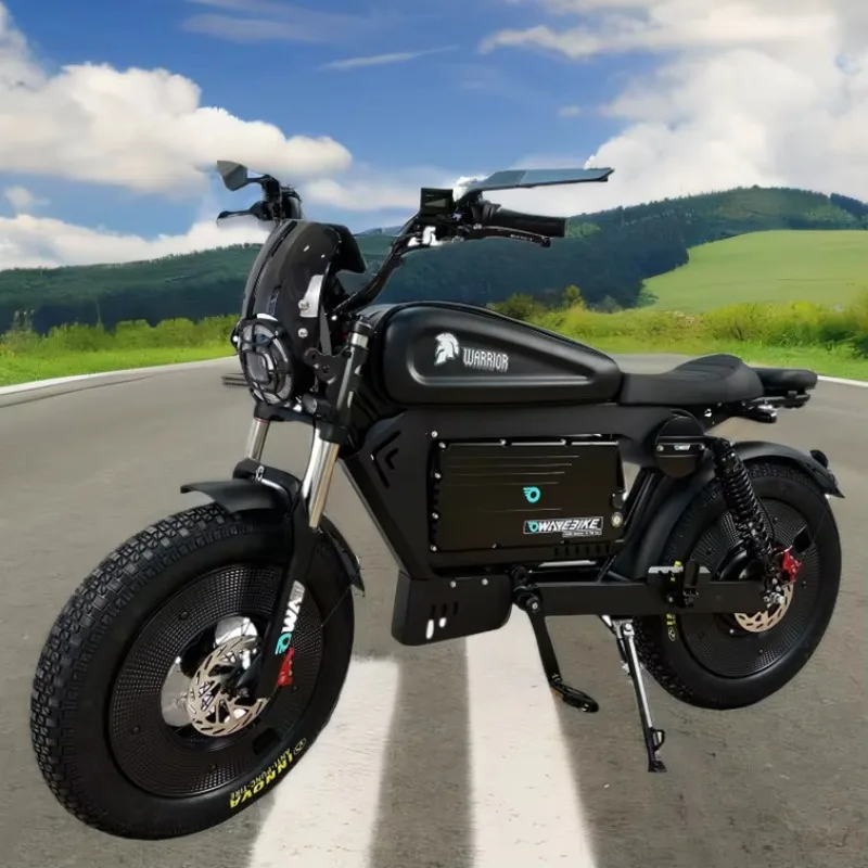 

STLF Fashion A Europe 2025 Electric City Bike Latest Model Black Warrior Bicycle High-speed Most Popular in 60v Electri