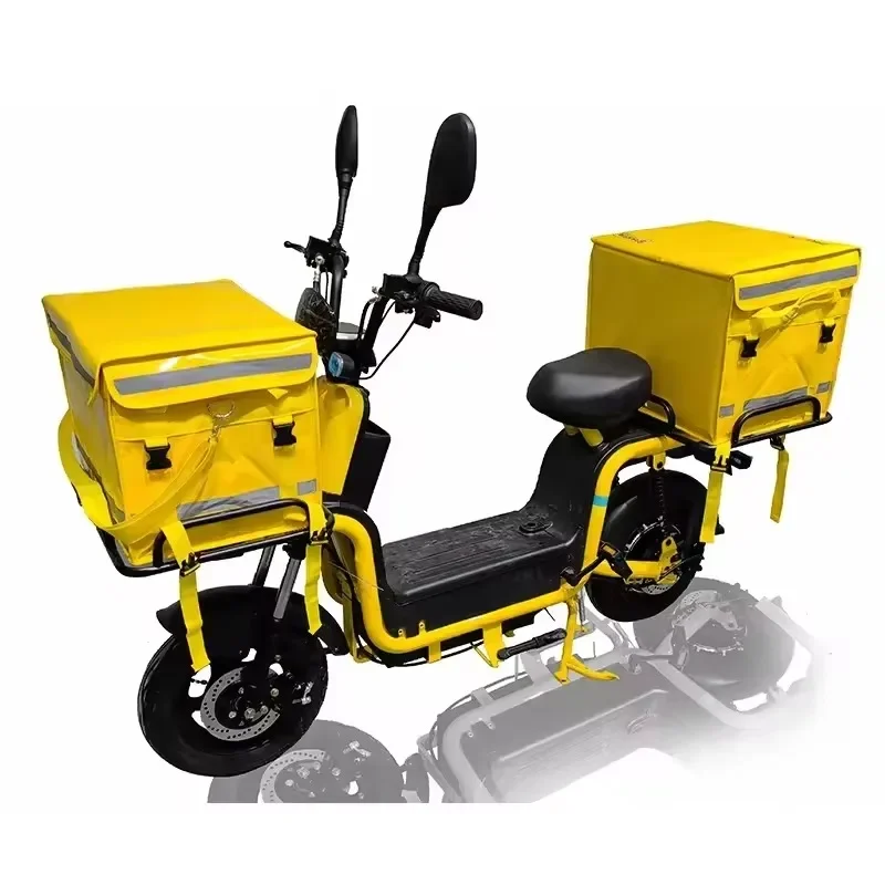 

60V 800W Battery Electric Road Bike Front Hub Motor Solar Power Steel Tube for Cargo Delivery-2025 China Factory