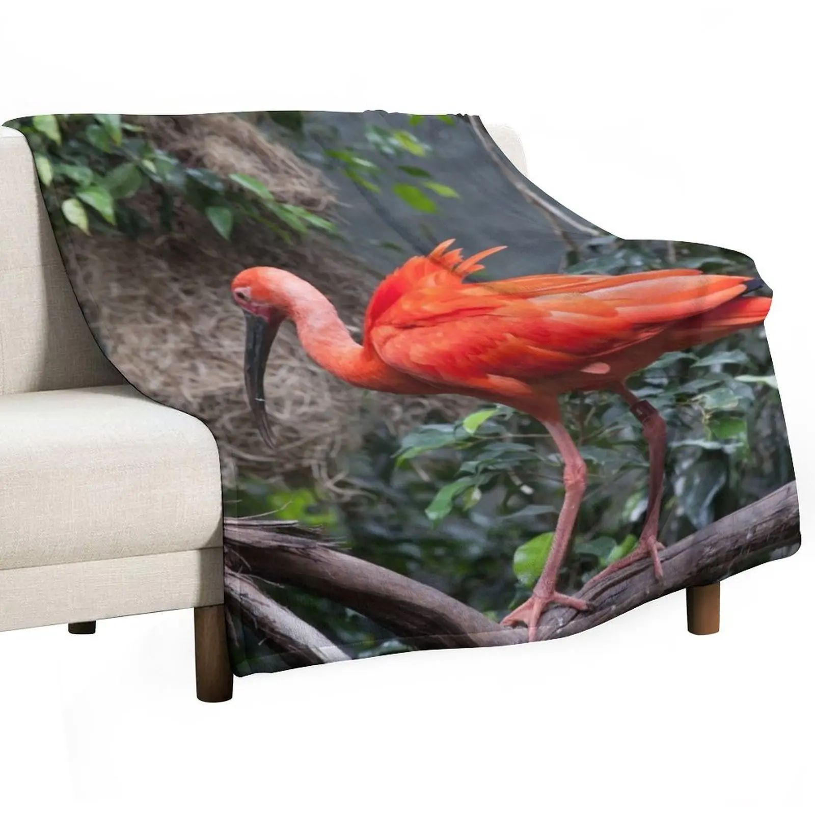 

Scarlet Ibis perched on a vine Throw Blanket Bed covers anime Luxury Single Blankets