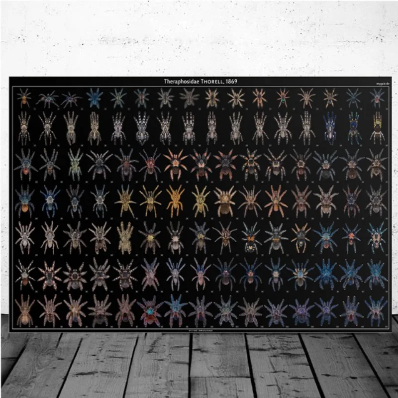 Insects Tarantulas of The World Poster Avicularia Tarantula Genus Canvas Painting Print Wall Art Picture Living Room Home Decor