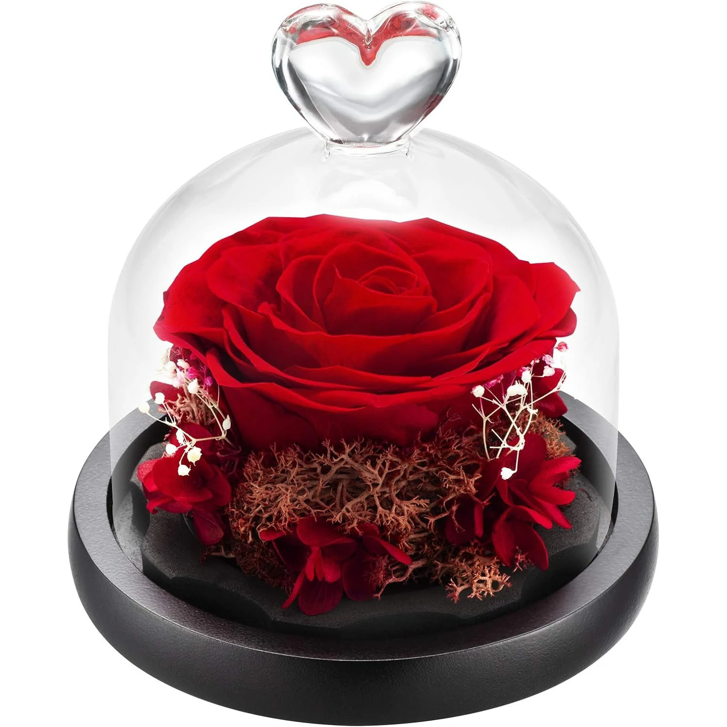Rosas preservadas reales en cúpula de cristal, Rosa fresca eterna de la Bella y La Bestia, regalo de cumpleaños y vacaciones para novia, Día de San Valentín, gran oferta