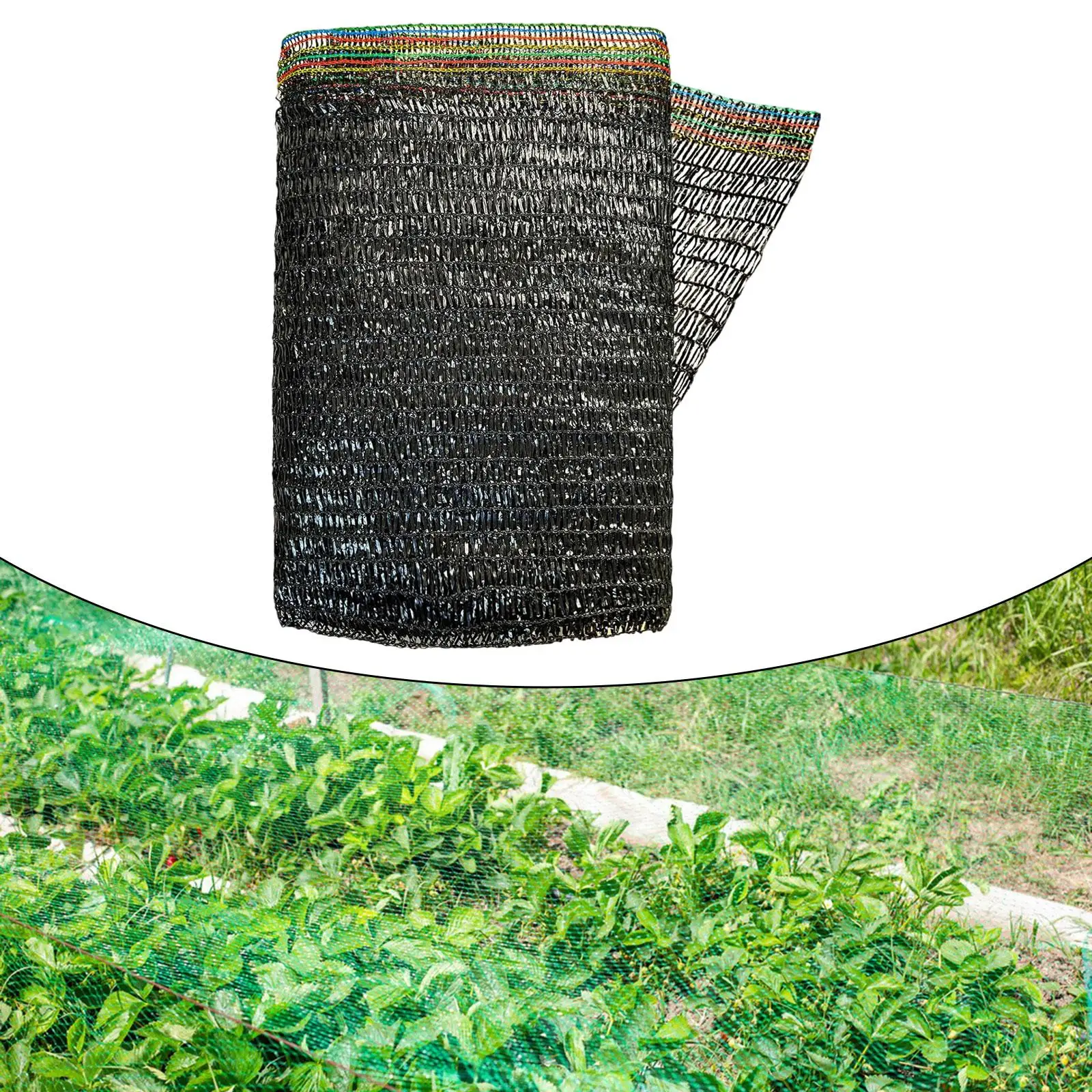 

Shade Cloth Versatile Breathable Easy Use 300x200cm Heat Protection Sunblock Mesh for Raised Bed Canopy Vegetables Pergola Cars