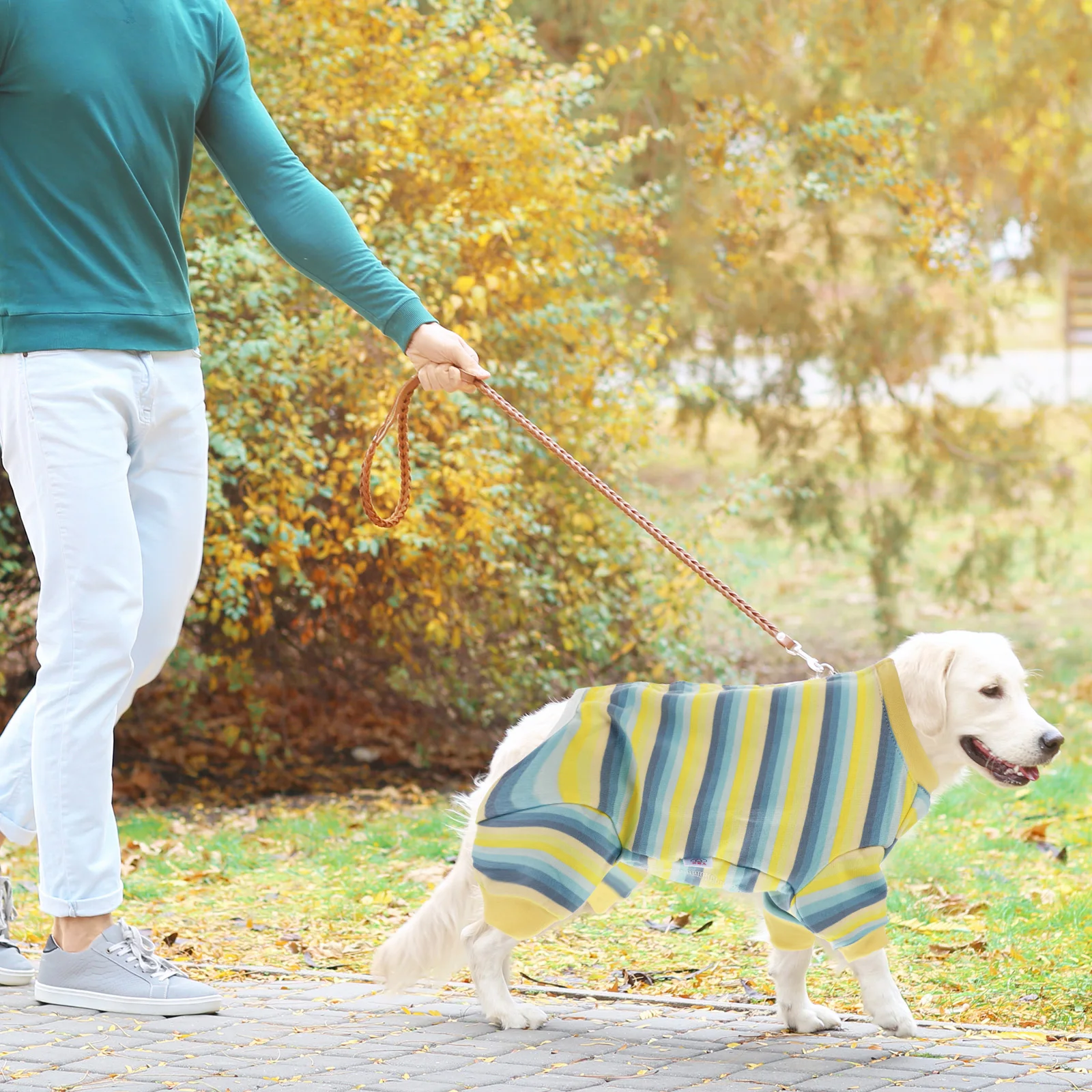 

Pet Neutering Suit Dog Surgical Recovery Vest Post Operation Healing Aid Wound Protector Anti Licking Clothing Dog Accessories