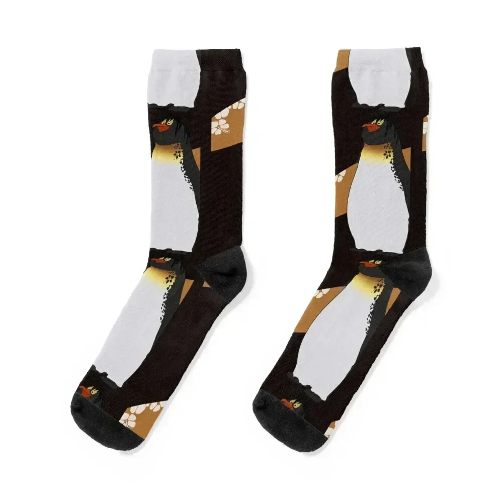 Big Z Socks heated men cotton high quality with print bright garter Girl'S Socks Men's