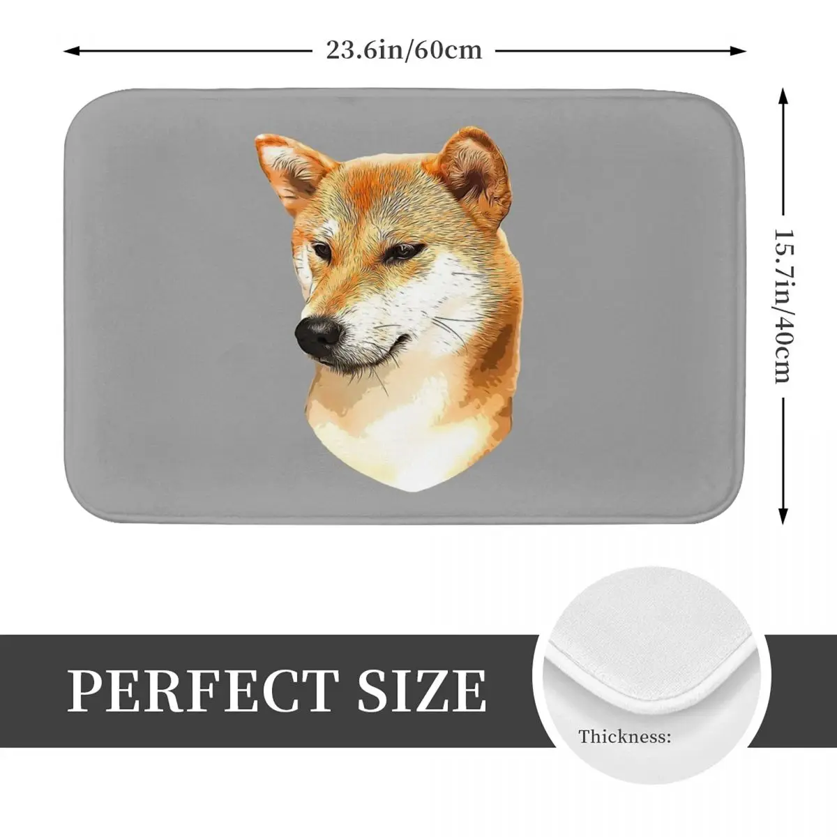 Shiba Inu Stunning Dog! Doormat Anti-skid Bathroom Floor Mats Home Entrance Rugs Kitchen Living Room Carpet Outdoor Footpad